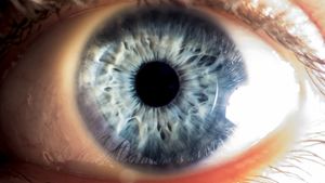 Augengesundheit: Warum regelmäßige Vorsorge so wichtig ist