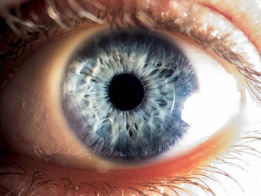 Das menschliche Auge ist Resultat von Millionen von Jahren der Evolution. Foto: Vic29/Shutterstock.com