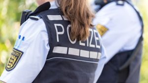 In Frankfurt am Main hat ein junger Mann eine Polizisten in den Main geschubst (Symbolbild). Foto: dpa