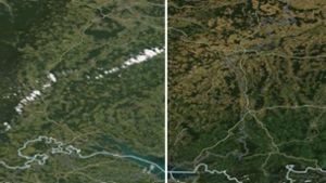 Das südliche Baden-Württemberg mit dem Bodensee im Juni (links) und im August (rechts) Foto: Nasa/Vertical52 (Recherche)