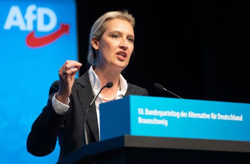 Bereit für eine Kandidatur im Südwesten: Bundestags-Fraktionschefin Alice Weidel Foto: dpa/Sina Schuldt