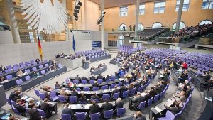 Die kleine Opposition im Bundestag kämpft um ihren Einfluss Foto: dpa