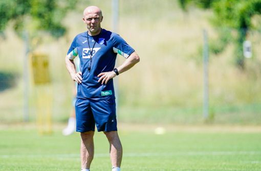 Breite Schultern, klarer Plan: Hoffenheims Trainer Alfred Schreuder Foto: dpa