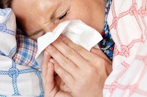 Die Grippesaison hat ihren Höhepunkt noch gar nicht erreicht. Foto: dpa/Maurizio Gambarini