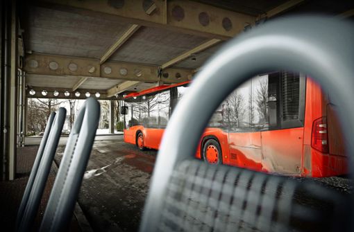 Der neuen Busverkehr ruft viele Kritiker auf den Plan. Foto: Gottfried Stoppel