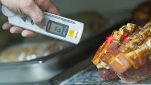 Die Kontrolle nehmen etwa auch die Temperatur der Lebensmittel unter die Lupe. Foto: dpa/Uwe Anspach