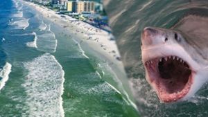 Dieser Strand in Florida wird häufig von Haien heimgesucht. Foto: Glomex/Sat1