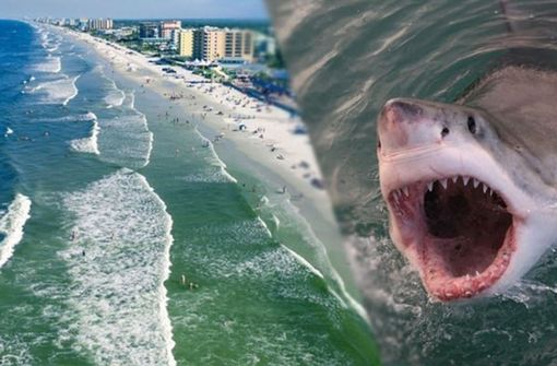 Dieser Strand in Florida wird häufig von Haien heimgesucht. Foto: Glomex/Sat1