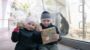 Die Menschenaffen in der Wilhelma werden dank der fleißigen Besucher an Weihnachten nicht leer ausgehen. Foto: Lichtgut/Verena Ecker