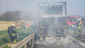 Der Lkw geriet auf der A8 gegen 16 Uhr in Brand. Foto: SDMG