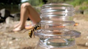 Zum Schutz vor Wespen sollten Süßgetränke  im Freien nie offengelassen werden. Foto: /mago/Joker