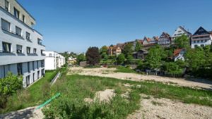 Mit dem Kaufvertrag  ihrer Wohnung wurde den Eigentümern des Layher-Areals  (links)   schon  2019   eine  grüne Oase versprochen.  Das Gelände liegt noch immer brach. Foto: / Jürgen Bach