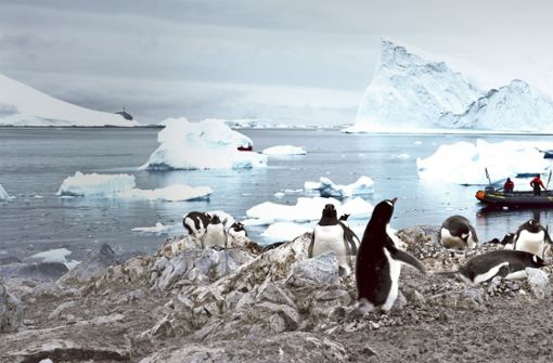 Messungen in der Antarktis zeigen, dass nicht nur am Nordpol, sondern auch im Südpolgebiet  die Eismasse jedes Jahr geringer wird. Foto: spiritofamerica/Adobe Stock
