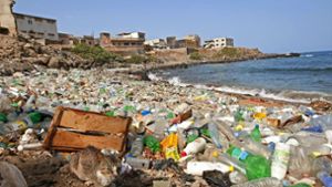 Das Meer verkommt immer mehr zur Müllkippe. Foto: dpa