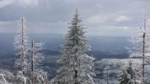 Im Mittelgebirge ist mit viel Neuschnee zu rechnen. Foto: Matthias Bein/dpa