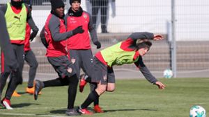 Der VfB Stuttgart beim Training vor der Partie beim 1. FC Köln. Foto: Pressefoto Baumann