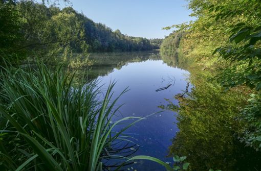 Ein Ort der Ruhe für Angler, Naturfreunde und Spaziergänger ist der Sulzbachstausee geworden. Foto: factum/Simon Granville