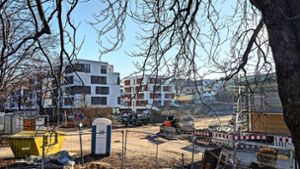 Der Gesundheitscampus soll zwischen den neuen Wohnhäusern (links) und dem Mineralbad Berg (rechts, eingerüstet) entstehen. Foto: Jürgen Brand