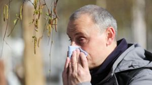 Allergiker müssen sich auf eine hohe Pollenbelastung einstellen. Foto: IMAGO/Russian Look/IMAGO/Belkin Aleksey