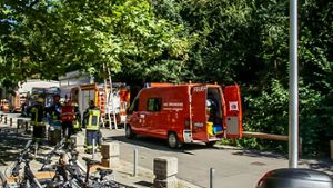 Die Ludwigsburger Feuerwehr musste am Mittwoch ins Freibad Hoheneck ausrücken. Weitere Bilder zum Einsatz in unserer Bildergalerie. Foto: SDMG