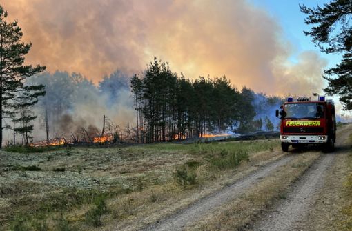 Auch in diesem Sommer lodern wieder unzählige gewaltige Feuer in Deutschlands Wäldern – wie hier bei Lübtheen im Juni. Foto: dpa/Thomas Schulz