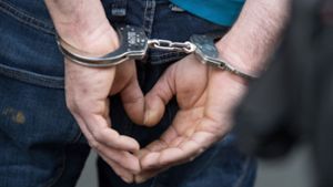 Die Polizei hat einen 17-Jährigen festgenommen, der Teil einer Jugendbande sein soll (Symbolbild). Foto: dpa/Boris Roessler