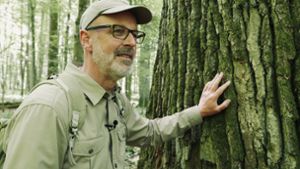 Peter Wohlleben in „Das geheime Leben der Bäume“ Foto: Verleih