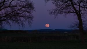 Der April-Vollmond wird auch „Pink Moon“ genannt. (Archivbild) Foto: IMAGO/Wassilis Aswestopoulos/IMAGO/wassilis aswestopoulos