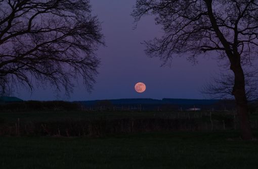 Der April-Vollmond wird auch „Pink Moon“ genannt. (Archivbild) Foto: IMAGO/Wassilis Aswestopoulos/IMAGO/wassilis aswestopoulos