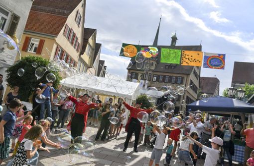 Ein Fest für die ganze Familie: das Wunderland in der Bietigheimer Altstadt, hier im Jahr 2016. Foto: Sabine Braun