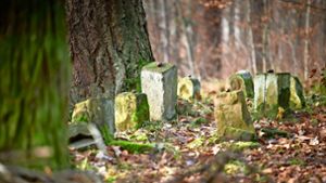 Im Wald   stehen ganz unvermittelt Grabsteine aus längst vergangener Zeit am Wegesrand. Foto: /Gottfried Stoppel
