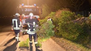 Xaver hinterlässt in der Region Stuttgart nur kleinere Schäden: Ein Baum blockiert am Donnerstagabend die L1200 zwischen Holzmaden und Weilheim an der Teck im Kreis Esslingen.  Foto: FRIEBE|PR/ Sven Friebe