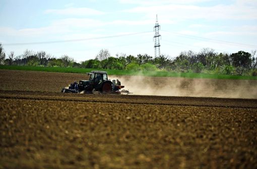 Anhaltende Trockenheit bedeutet für Landwirte  eine Einbuße bei der Ernte. Foto: Lichtgut/Max Kovalenko