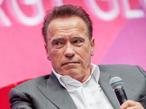 Arnold Schwarzenegger fand beim Treffen mit Überlebenden des Hamas-Terrors deutliche Worte. Foto: 2019 Photo_Doc/Shutterstock.com
