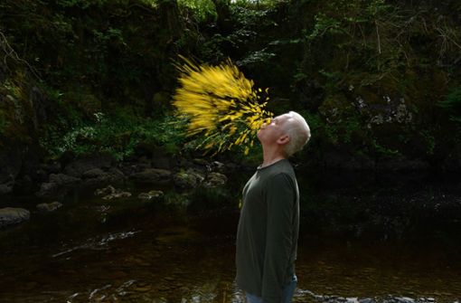 Er spuckt Blütenblätter in die Landschaft: Der Künstler Andy Goldsworthy in „Leaning into the Wind“ Foto: Haus des Dokumentarfilms