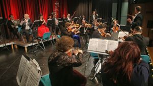 Musikalisch exzellent und mit einem Schuss Humor präsentierte sich die ungarische Kammerphilharmonie in Oberstenfeld. Foto: Ralf Poller