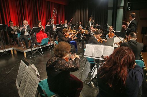 Musikalisch exzellent und mit einem Schuss Humor präsentierte sich die ungarische Kammerphilharmonie in Oberstenfeld. Foto: Ralf Poller