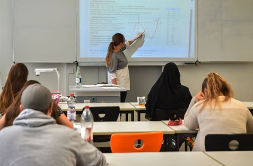 Lehrerin Malwina Gebel unterrichtet die Schüler in Mathematik – auf dem Programm steht Integralrechnung. Foto: Lg//Ferdinando Iannone