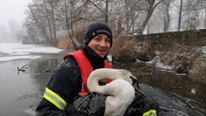 Der Feuerwehrmann Manuel Moz mit dem  geretteten   Schützling am Ufer des Monrepos-Sees Foto: Feuerwehr Ludwigsburg