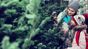 Ein Weihnachtsbaum gehört für viele Menschen zum Fest einfach dazu. Foto: JackF - stock.adobe.com/Lobanov Dmitry