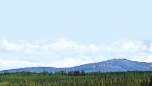 Früher der Strom der Goldgräber, heute Ziel  zahlender Abenteurer: der Yukon Foto: Christiane Neubauer