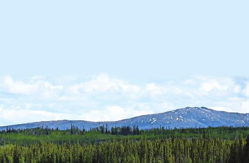 Früher der Strom der Goldgräber, heute Ziel  zahlender Abenteurer: der Yukon Foto: Christiane Neubauer