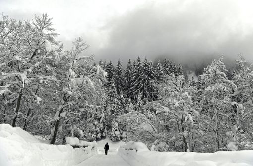 Drei Skifahrer aus Deutschland sind im österreichischen Lech in einer Lawine ums Leben gekommen. (Symbolbild) Foto: APA
