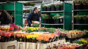 In aller Frühe wird auf dem Großmarkt mit Pflanzen gehandelt. Foto: Lichtgut/Julian Rettig