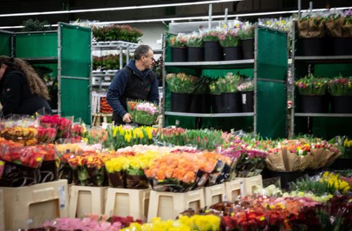 In aller Frühe wird auf dem Großmarkt mit Pflanzen gehandelt. Foto: Lichtgut/Julian Rettig
