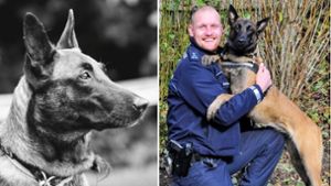 Luci war nicht nur während der Arbeit, sondern auch privat Teil des Lebens von ihrem Hundeführer Frank. Foto: Polizei Stuttgart/Facebook