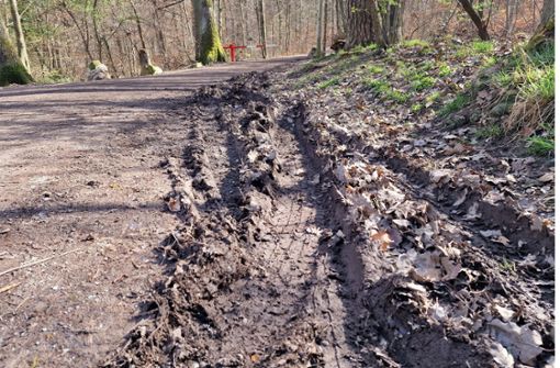 Beweissicherung im Wald bei Rohracker: Diese Spuren hat das Team der „Soko Stuttgart“ hinterlassen. Foto: /Boniek