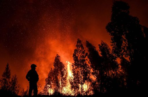 Die Feuerwehr bekämpft die Brandherde. Foto: AFP/Patricia de Melo Moreira