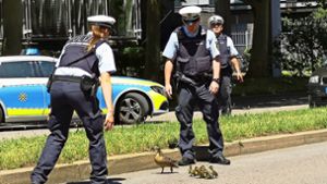 Dein Tierfreund und Helfer: Die Polizei bringt am Montag neun Enten sicher zurück in den Schlossgarten. Foto:  