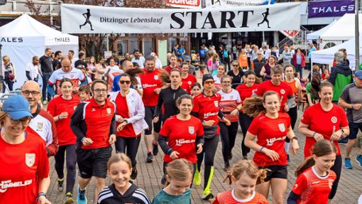 Voriges Jahr nahmen beim Präsenzlauf mehr als 2500 Läufer teil. Foto: Helmut Pangerl/l